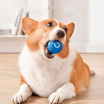 Smart Ball D
