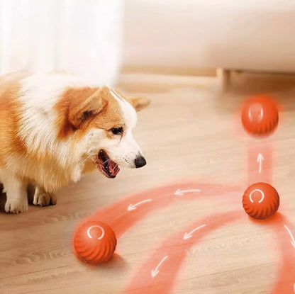 Smart Ball D