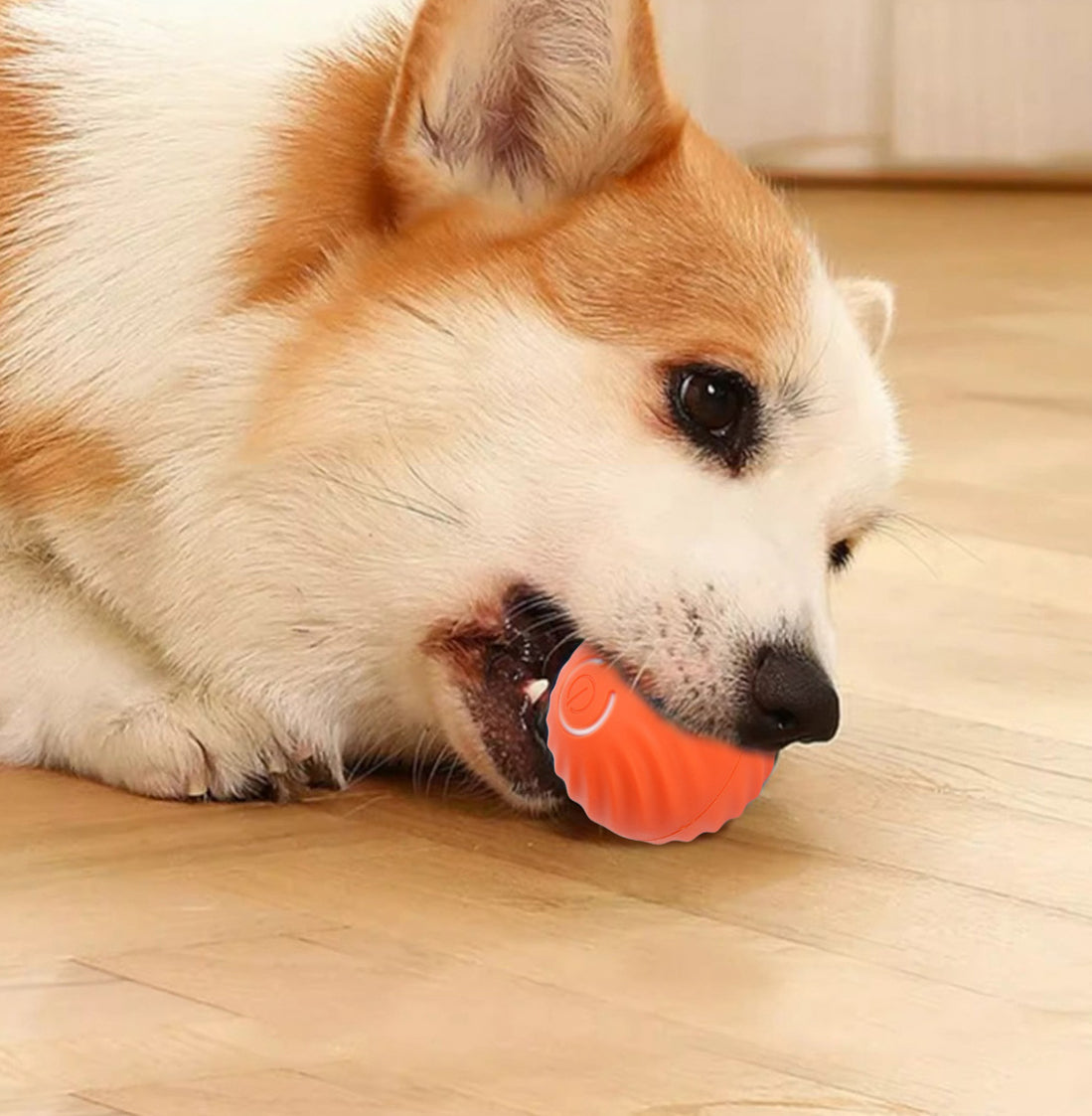 Smart Ball D